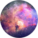 Rayne Vogt profile picture